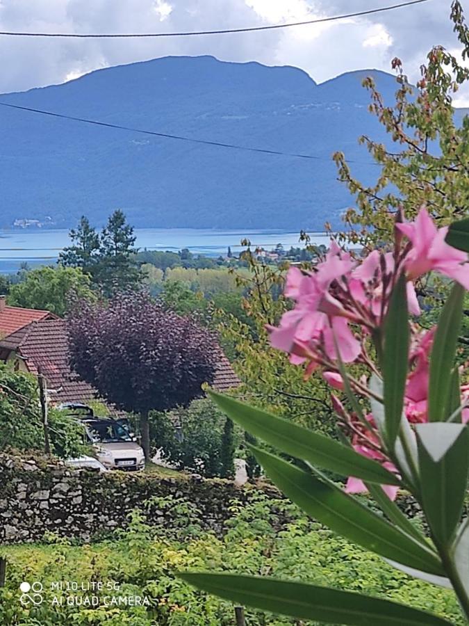 Du Vent Dans Les Arbres -120M2 Belle Vue Sur Le Lac Chindrieux المظهر الخارجي الصورة