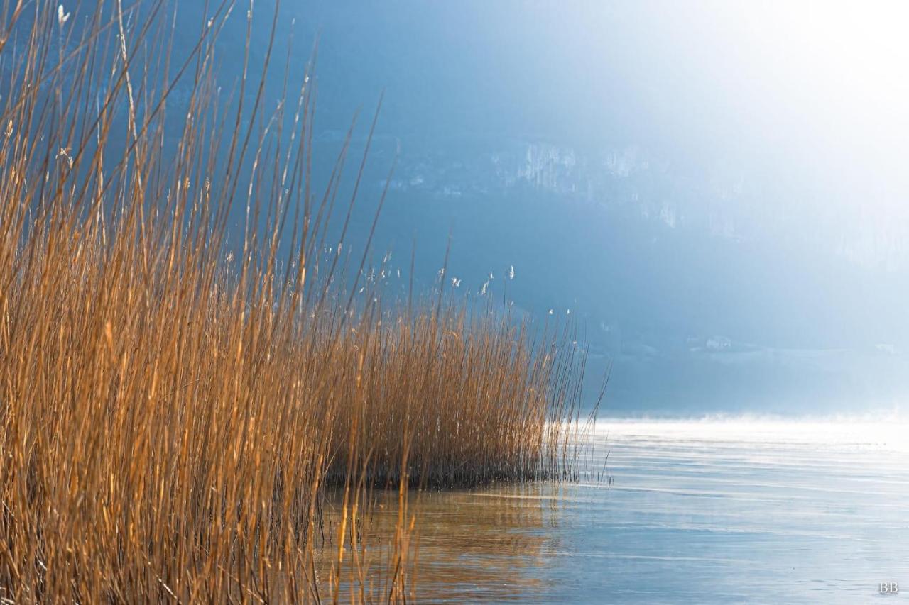 Du Vent Dans Les Arbres -120M2 Belle Vue Sur Le Lac Chindrieux المظهر الخارجي الصورة
