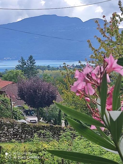 Du Vent Dans Les Arbres -120M2 Belle Vue Sur Le Lac Chindrieux المظهر الخارجي الصورة